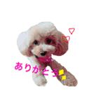 うちのランちゃん（個別スタンプ：4）