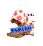 うちのランちゃん（個別スタンプ：14）