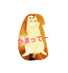 犬＆猫日常会話（個別スタンプ：11）
