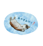 すたんぷりん(1)（個別スタンプ：4）
