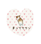 すたんぷりん(1)（個別スタンプ：6）
