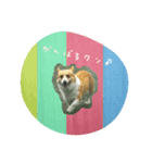すたんぷりん(1)（個別スタンプ：7）