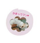 すたんぷりん(1)（個別スタンプ：8）