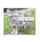 きたむらみゅう（個別スタンプ：4）