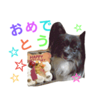 dog724（個別スタンプ：7）