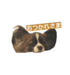 もくとりーのスタンプ（個別スタンプ：6）