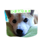 cocotty（個別スタンプ：3）