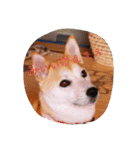 cocotty（個別スタンプ：5）