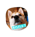 cocotty（個別スタンプ：7）