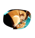 cocotty（個別スタンプ：9）
