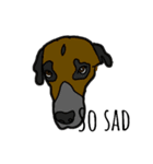 Zoey the dog eng ver.（個別スタンプ：3）