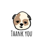 Zoey the dog eng ver.（個別スタンプ：7）