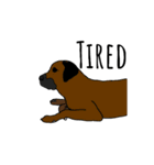 Zoey the dog eng ver.（個別スタンプ：10）