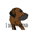 Zoey the dog eng ver.（個別スタンプ：11）