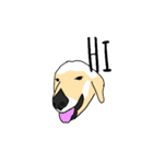 Zoey the dog eng ver.（個別スタンプ：12）