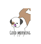 Zoey the dog eng ver.（個別スタンプ：15）