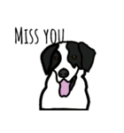 Zoey the dog eng ver.（個別スタンプ：18）