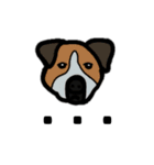 Zoey the dog eng ver.（個別スタンプ：20）
