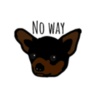 Zoey the dog eng ver.（個別スタンプ：21）