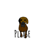 Zoey the dog eng ver.（個別スタンプ：22）