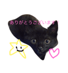 黒猫ハニくん2（個別スタンプ：8）