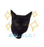 黒猫ハニくん2（個別スタンプ：16）