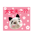 わんにゃんこ2（個別スタンプ：4）