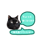 わんにゃんこ2（個別スタンプ：22）