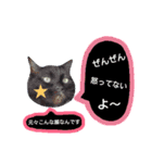 わんにゃんこ2（個別スタンプ：26）