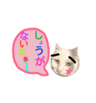 わんにゃんこ2（個別スタンプ：27）