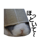 うさぎのくぅちゃんとお友達のバロン（個別スタンプ：18）