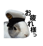 うさぎのくぅちゃんとお友達のバロン（個別スタンプ：26）