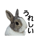 うさぎのくぅちゃんとお友達のバロン（個別スタンプ：28）