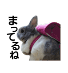 うさぎのくぅちゃんとお友達のバロン（個別スタンプ：30）