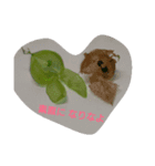 庭からのGIFT（個別スタンプ：4）