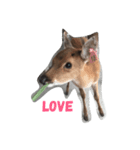 Wow Look at me？（個別スタンプ：7）