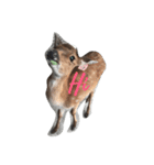 Wow Look at me？（個別スタンプ：8）