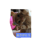 ujyu（個別スタンプ：3）