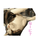 Zucker（個別スタンプ：1）