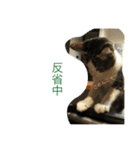 Zucker（個別スタンプ：5）