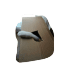 Zucker（個別スタンプ：6）