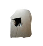 Zucker（個別スタンプ：8）