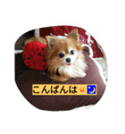 こりちゃん（個別スタンプ：8）