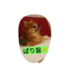 こりちゃん（個別スタンプ：9）