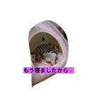 こりちゃん（個別スタンプ：16）
