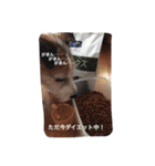 毎日がジャックラッセルテリアでいっぱい！（個別スタンプ：17）