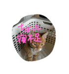 チョコとモナカのハッピーデイ（個別スタンプ：1）
