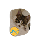 チョコとモナカのハッピーデイ（個別スタンプ：2）