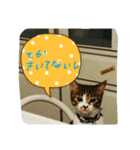 チョコとモナカのハッピーデイ（個別スタンプ：4）