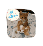 チョコとモナカのハッピーデイ（個別スタンプ：10）